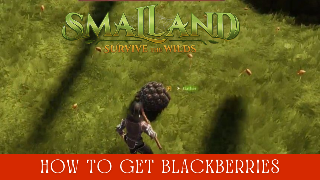 How to Get Blackberries in Smalland: Survive the Wilds 